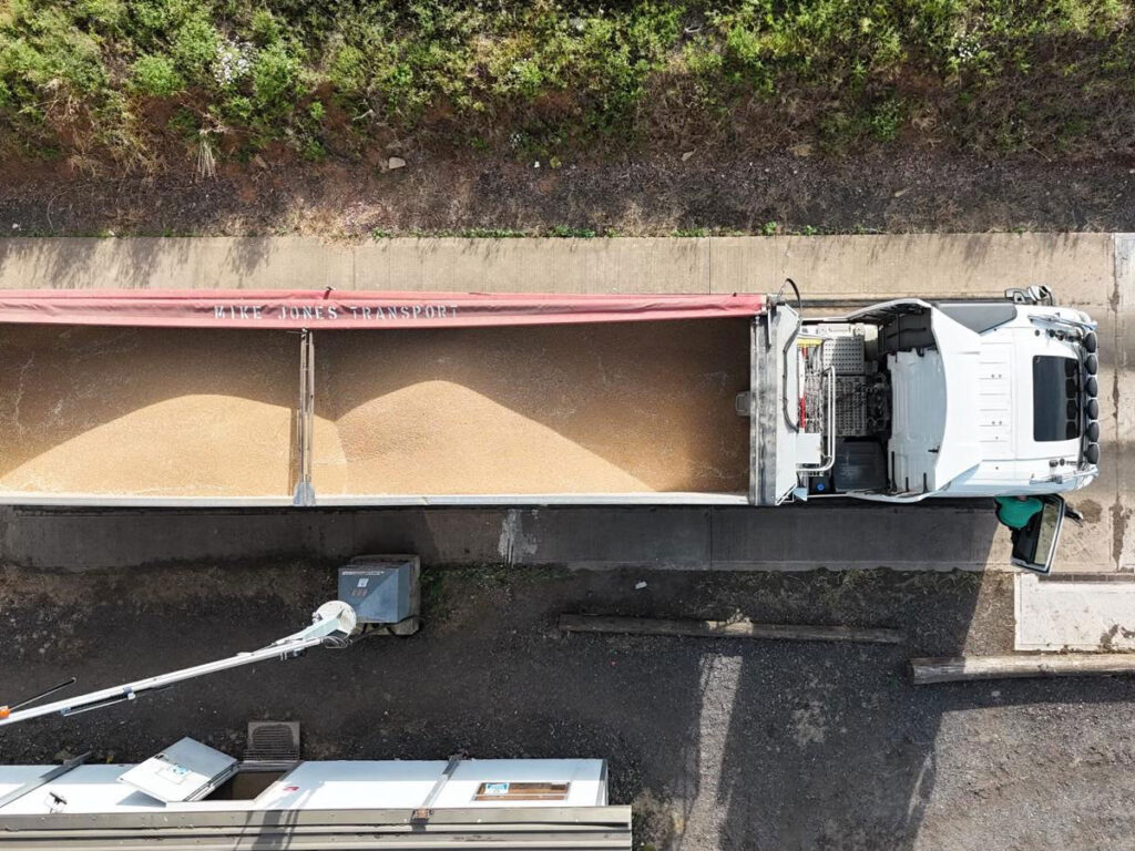 grain transport in truck